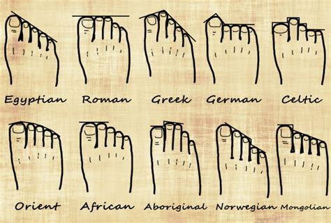 german feet|Your Foot Shape and Your Genealogy .